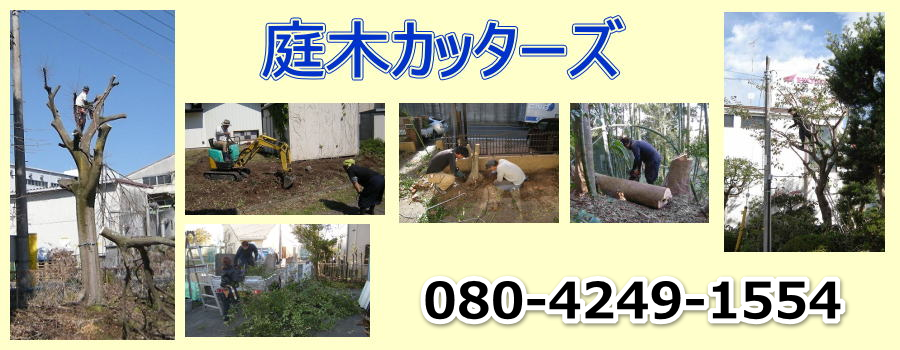 庭木カッターズ | 大阪市港区の庭木の伐採を承ります。